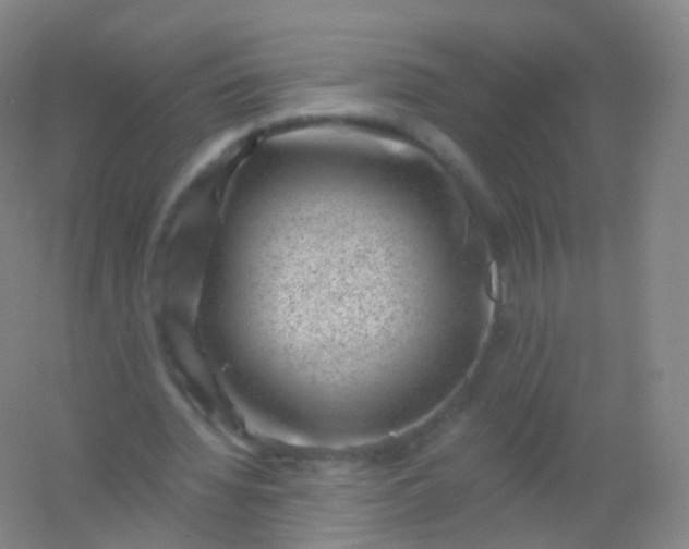 X0000054460436200508121941