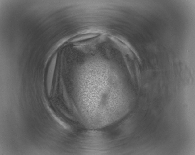 X0000054460437200508121941