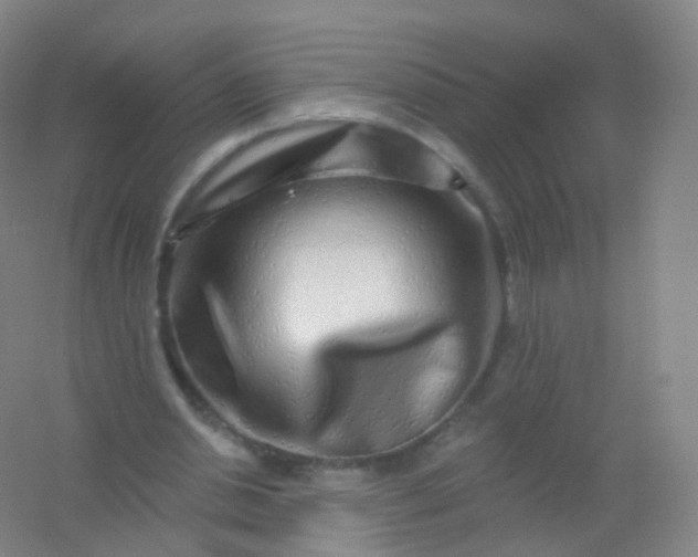 X0000054460438200508121941