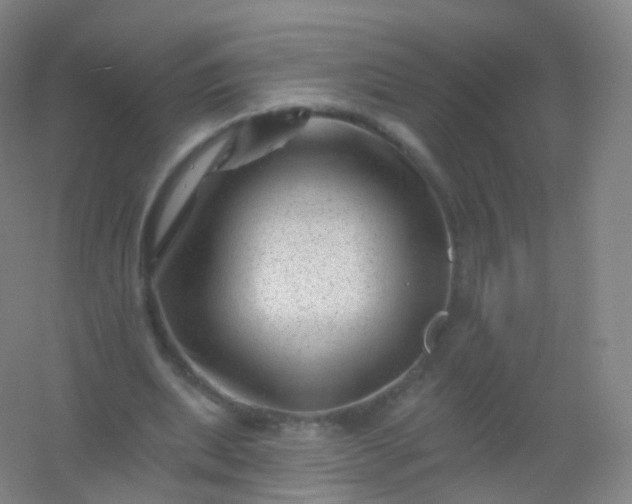 X0000054460439200508121941