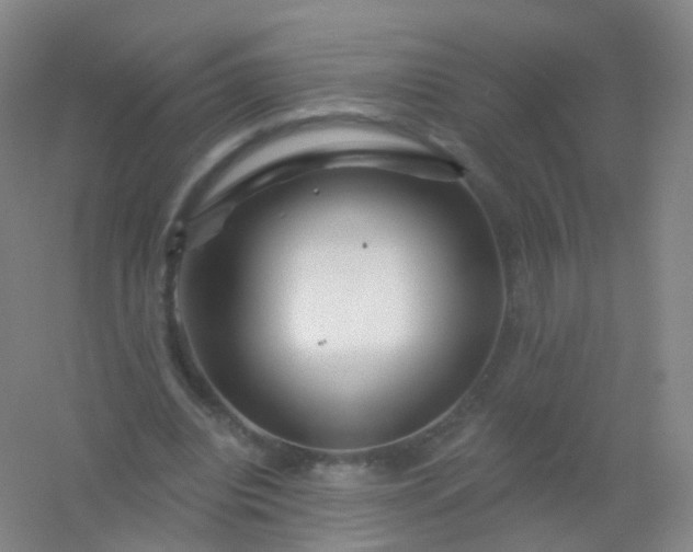 X0000054460440200508121941