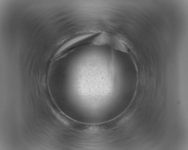 X0000054460441200508121941