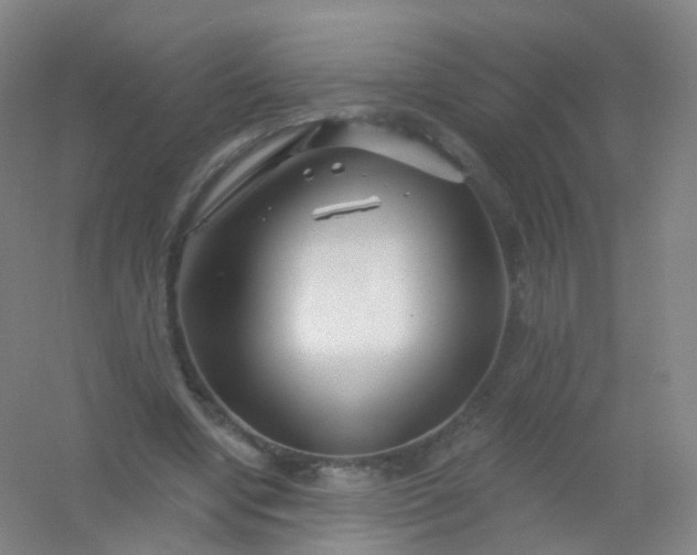 X0000054460442200508121941