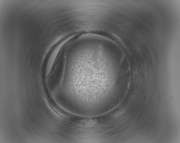 X0000054460443200508121941