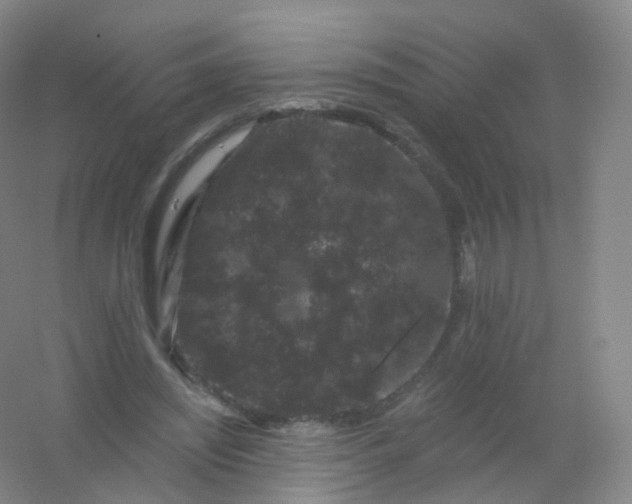 X0000054460444200508121941