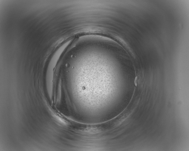 X0000054460445200508121941