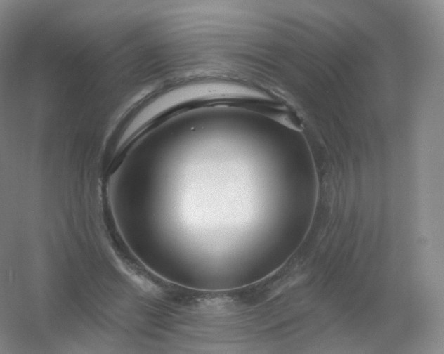 X0000054460446200508121941