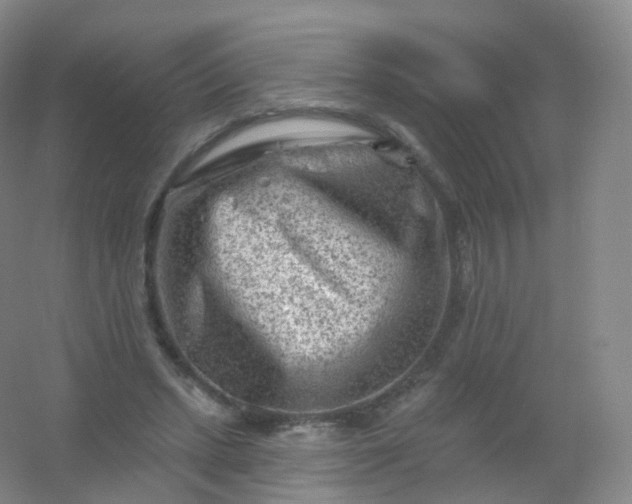 X0000054460447200508121941