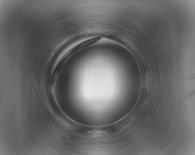 X0000054460448200508121941