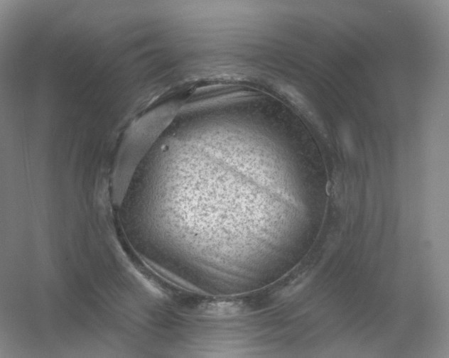 X0000054460449200508121941