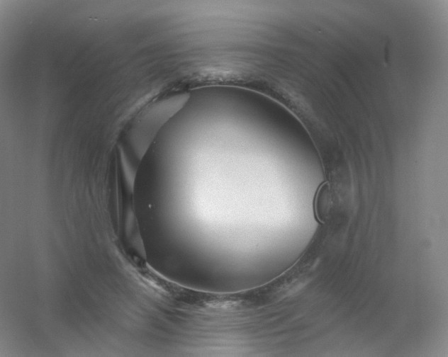 X0000054460450200508121941