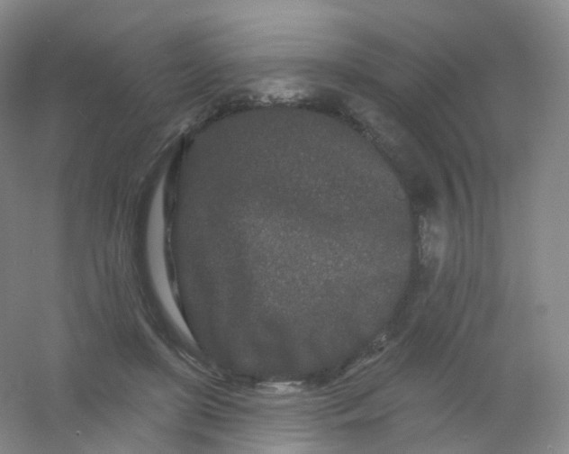 X0000054460451200508121941