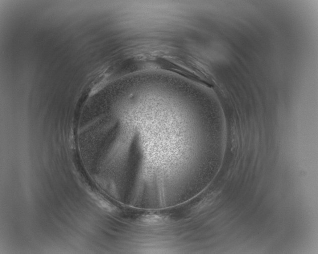 X0000054460453200508121941