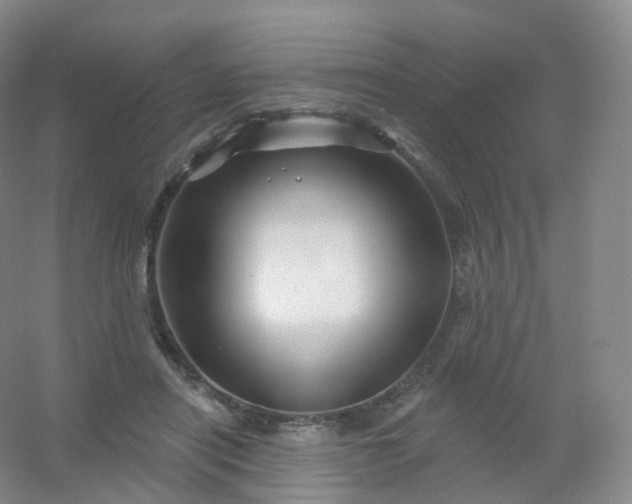 X0000054460454200508121942