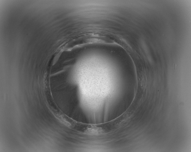 X0000054460455200508121942