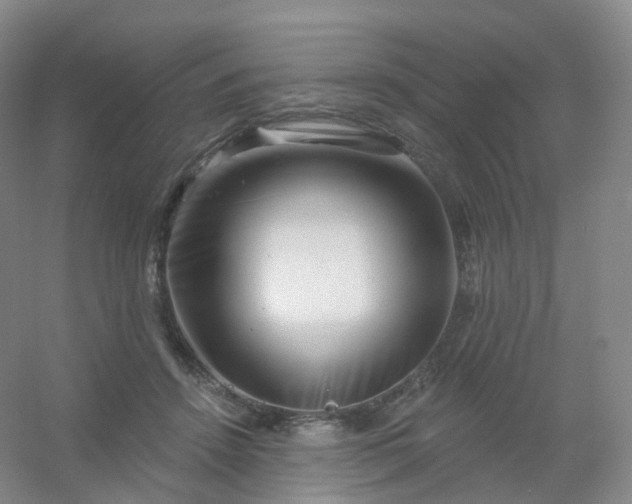 X0000054460456200508121942