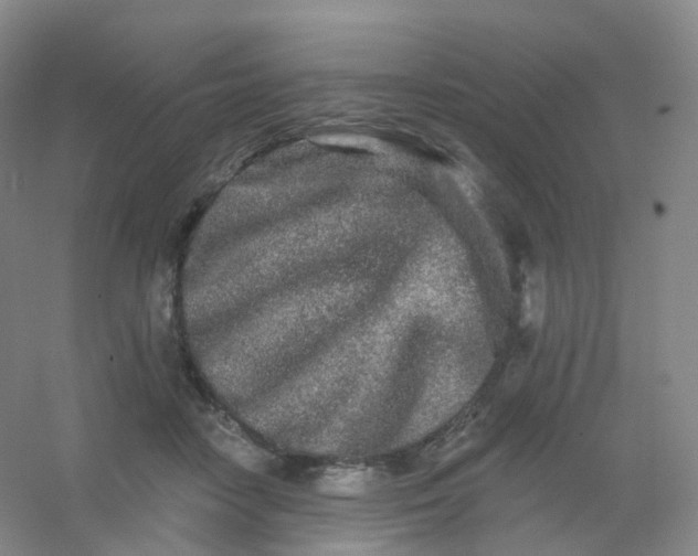 X0000054460458200508121942