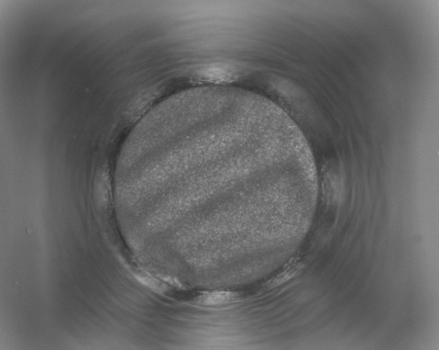 X0000054460459200508121942