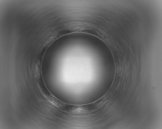 X0000054460460200508121942