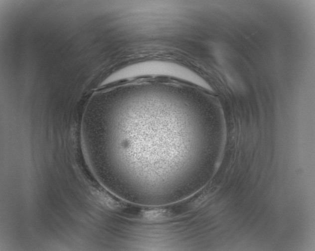 X0000054460461200508121942