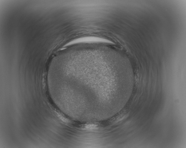 X0000054460462200508121942