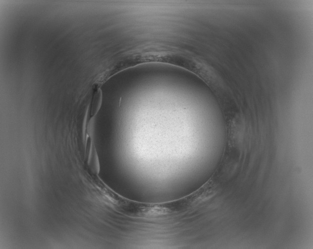 X0000054460463200508121942