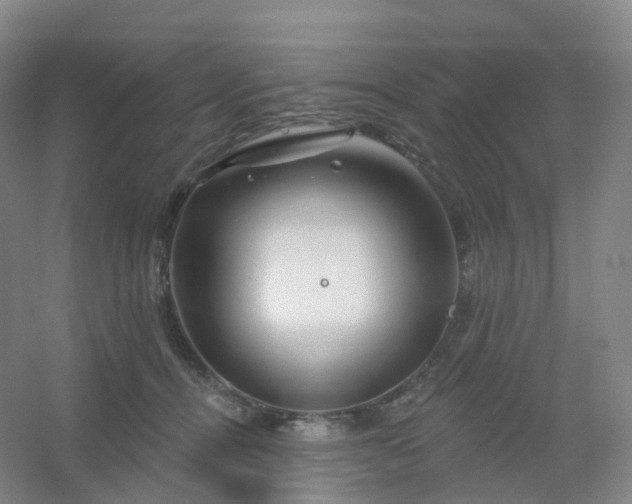 X0000054460464200508121942