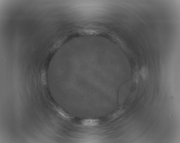 X0000054460465200508121942