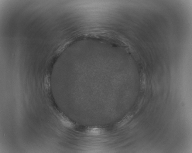 X0000054460467200508121942