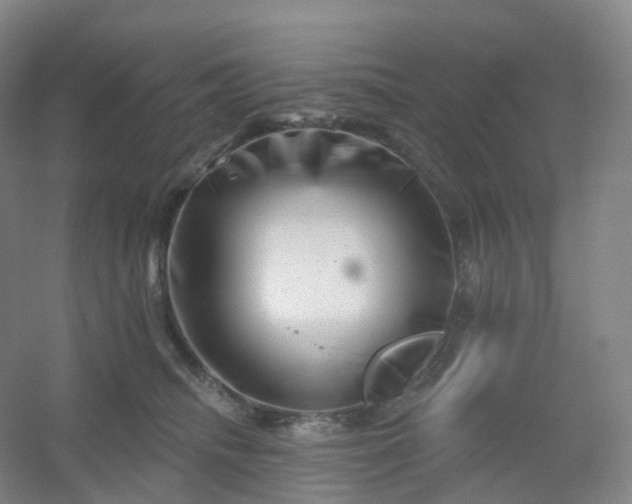 X0000054460468200508121942