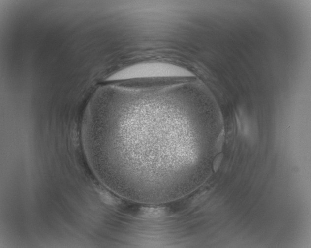 X0000054460469200508121942