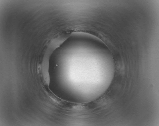 X0000054460470200508121942