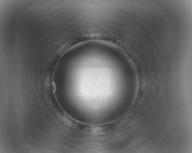 X0000054460472200508121942