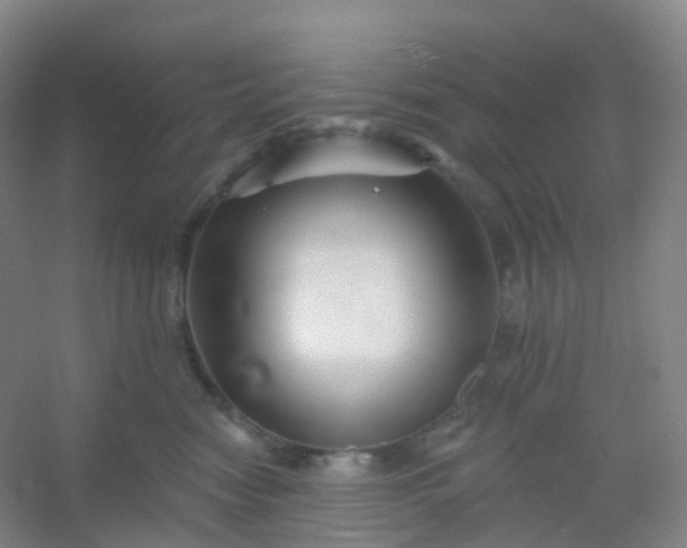 X0000054460474200508121942