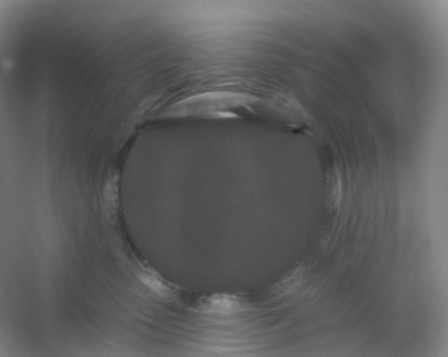 X0000054460475200508121942