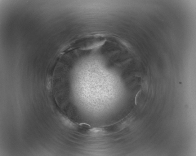 X0000054460477200508121942