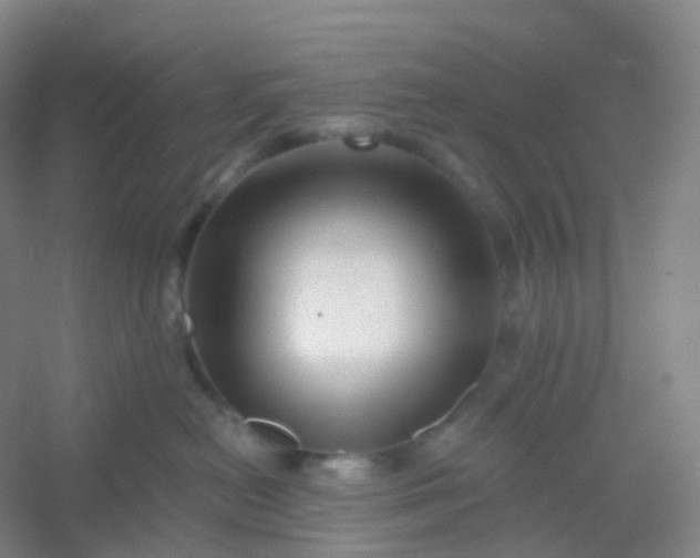 X0000054460478200508121942