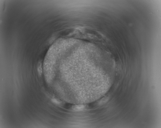 X0000054460479200508121942