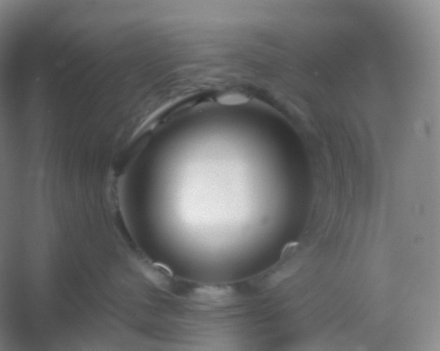 X0000054460480200508121942