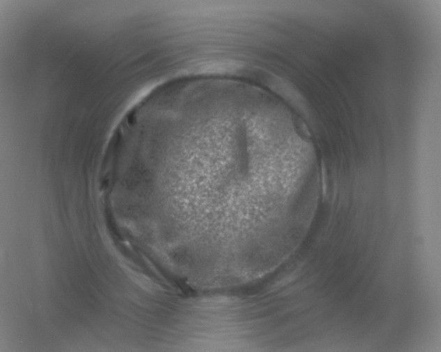 X0000054460483200508121941