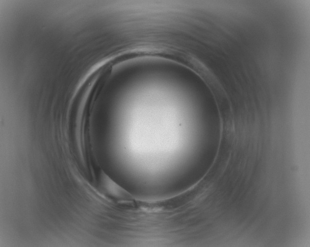 X0000054460484200508121941