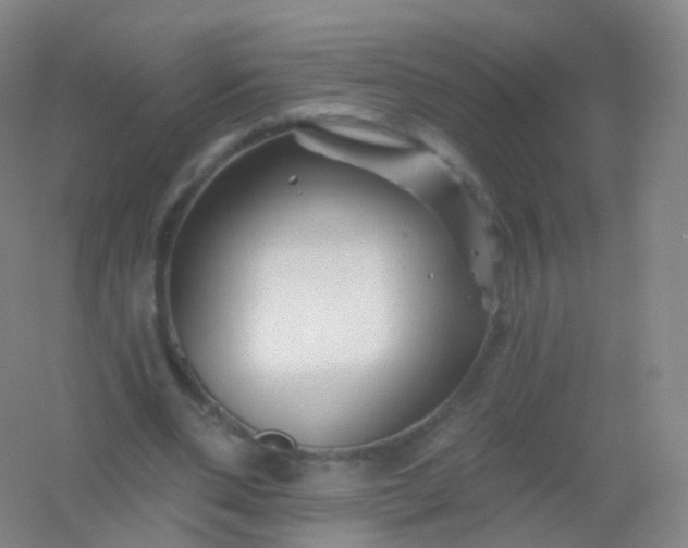 X0000054460486200508121941