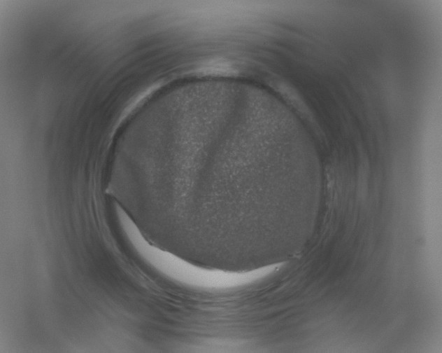 X0000054460487200508121941