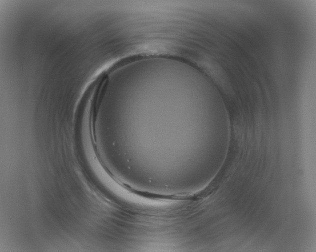 X0000054460488200508121941