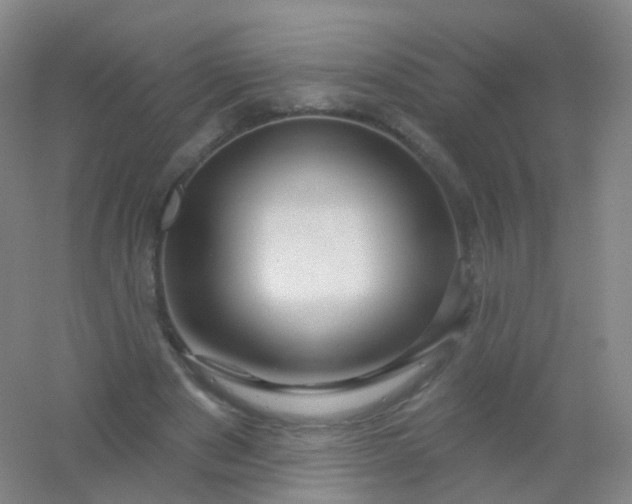 X0000054460489200508121941