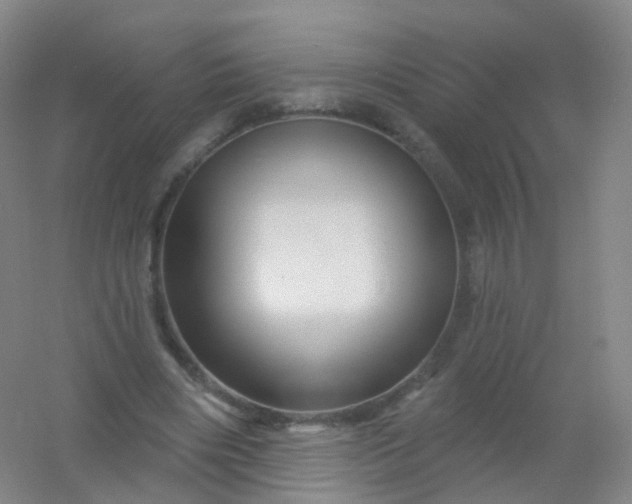 X0000054460490200508121941