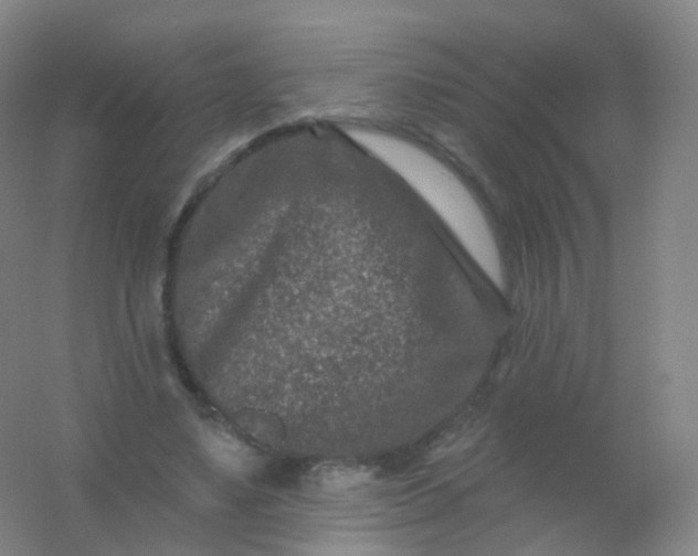 X0000054460491200508121941