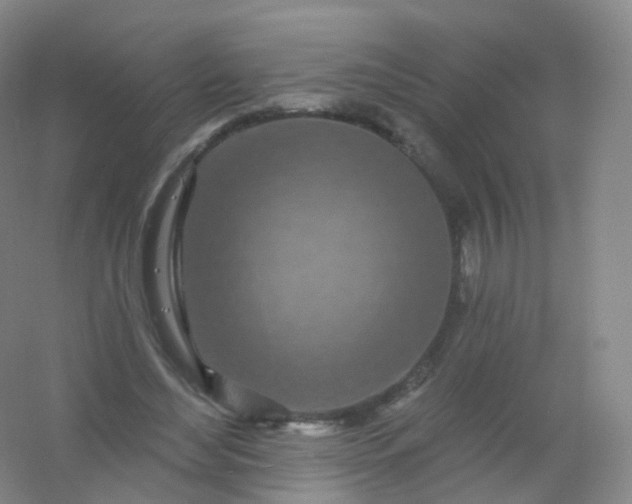 X0000054460492200508121941