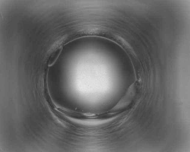 X0000054460493200508121941