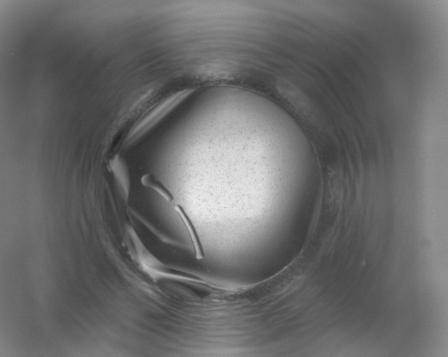 X0000054460494200508121941